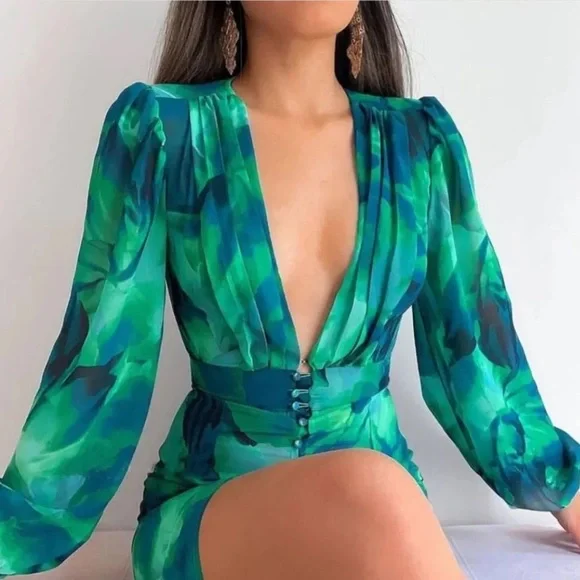 NWT Runaway The Label Calista Deep-V Button Front Long Sleeve Sheer Midi Dress - Picture 1 of 16